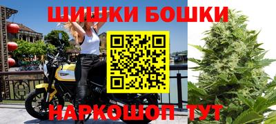спиды Аргун