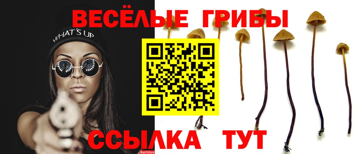 Галлюциногенные грибы мицелий  Вход с VPN  Всеволожск  Псилоцибиновые грибы мицелий 